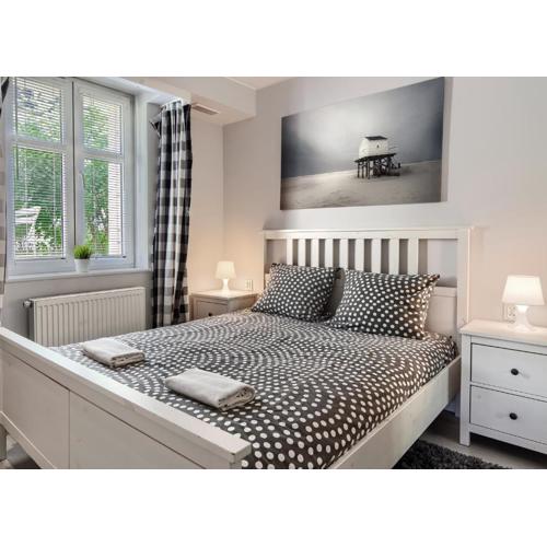 Studia Aloha - ACCO RENT