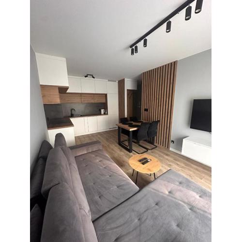 Studio 73