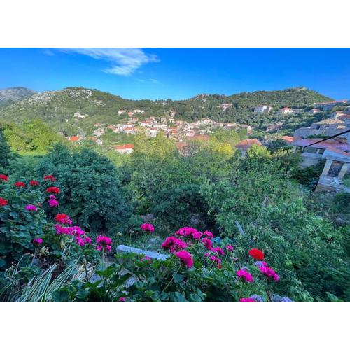 Studio Apartman Ana