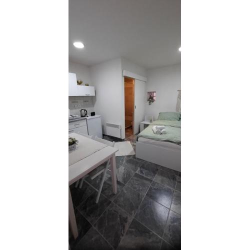 Studio apartman Centar