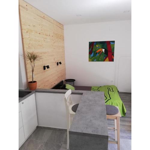 Studio apartman Fleiss