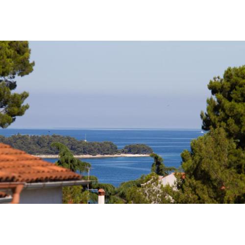 Studio Apartman Nega 1