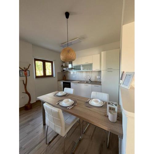 Studio Apartman Nika