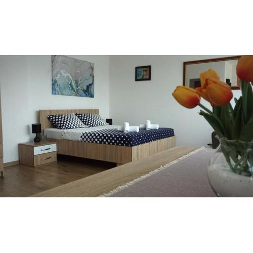 Studio Apartman Pega