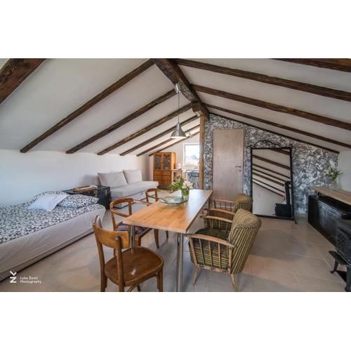 Studio apartman Popović