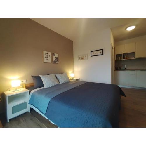 Studio Apartman Runko