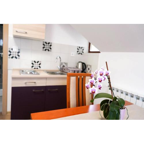 Studio Apartman Šafranko