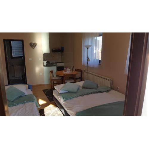 Studio apartman Salopek