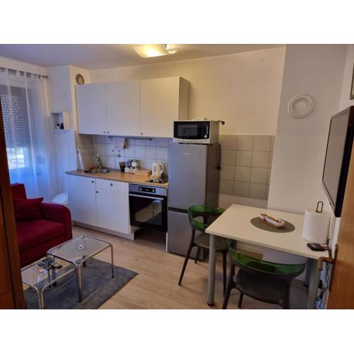 Studio apartman Šapudl