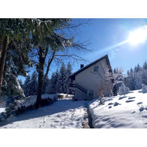 Studio apartman Singer
