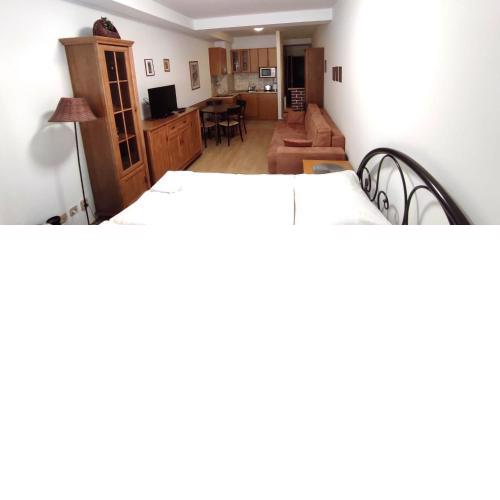 Studio apartman Tatran A-29