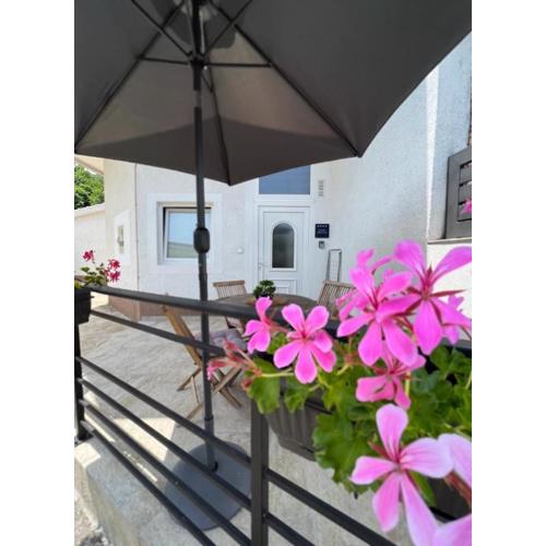 Studio Apartman \