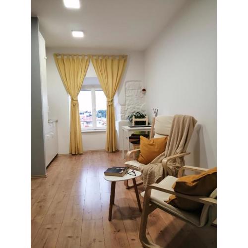 Studio Apartman \