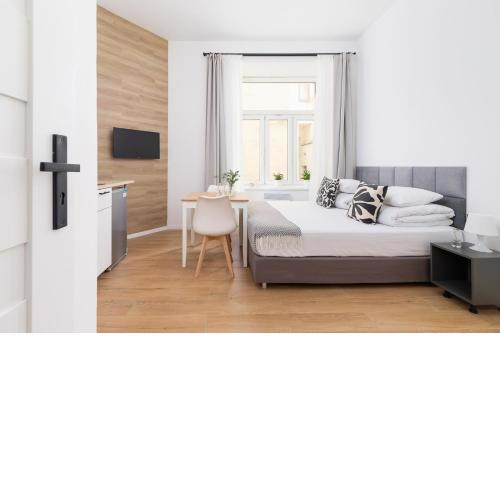 Studio Apartment - Radziwiłłowska 27