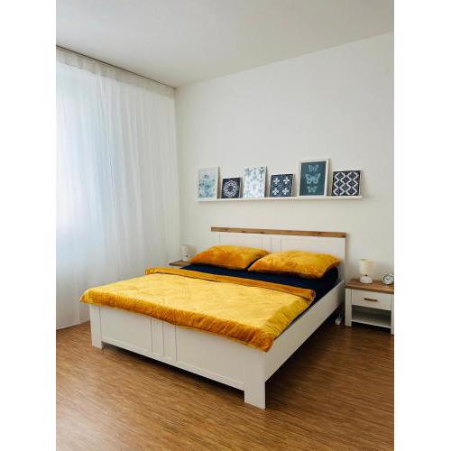 Studio Apartment Bluebell