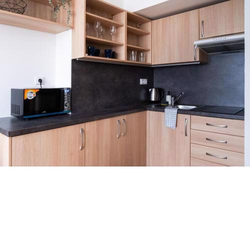 Studio apartment in Brno-center