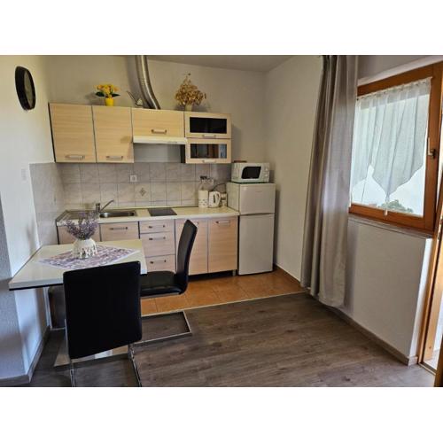 Studio Apartment in Nin with Terrace, Air Conditioning, Wi-Fi (3722-5)