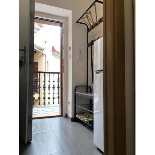 Studio apartment in Viktoria Zizkov