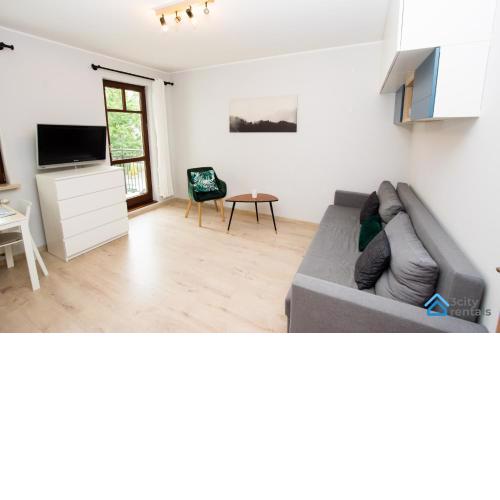 Studio Apartment Karlikowski Młyn