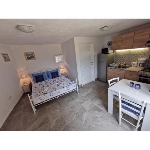 Studio Apartment Mileta