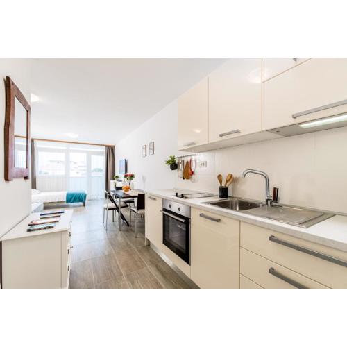 Studio Apartment Romana