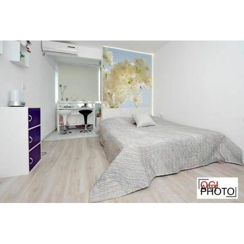 Studio Apartment Spalato