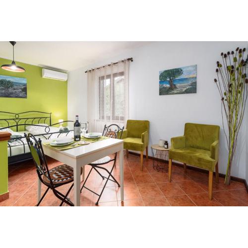 Studio Apartment