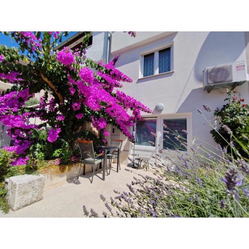 Studio City Garden