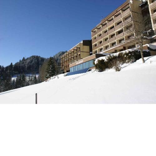 Studio in Bad Mitterndorf - Steiermark 37017