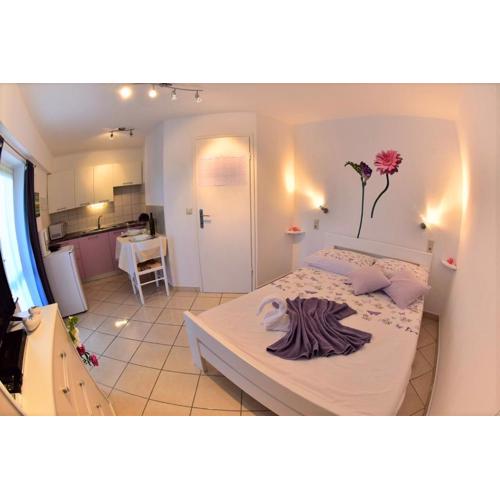 Studio in Vrh - Insel Krk 44064