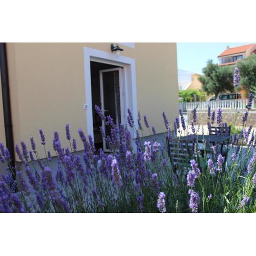 Studio Lavanda in Kornić, Krk