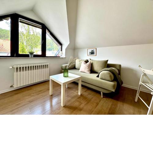 Studio Leśny Żubr IV