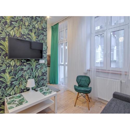 Studio Mini Apart 8 1 - ACCO RENT