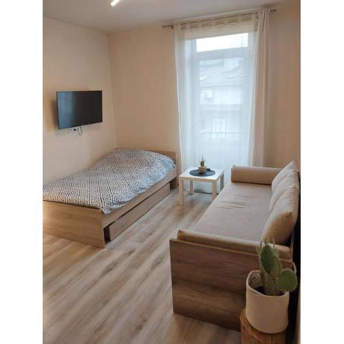 Studio near Old Town