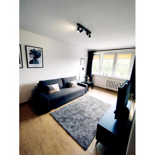 Studio No 15 Toruń