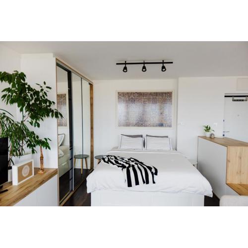 Studio Penthouse