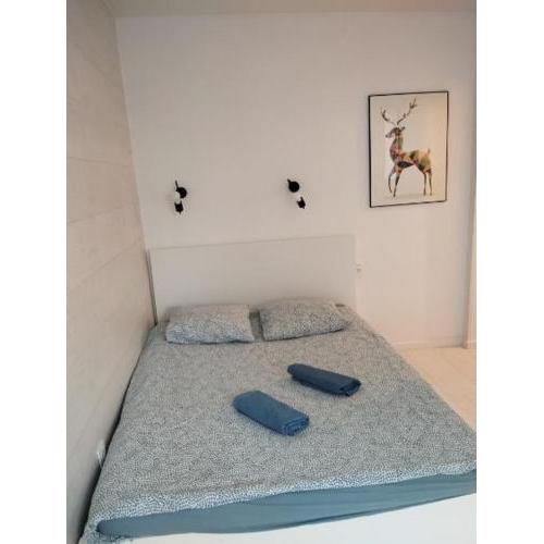 Studio Podwale Przedmiejskie