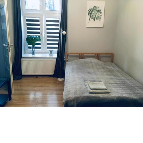 Studio Stare Miasto