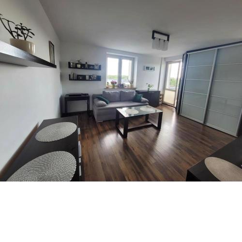 Studio Syreny