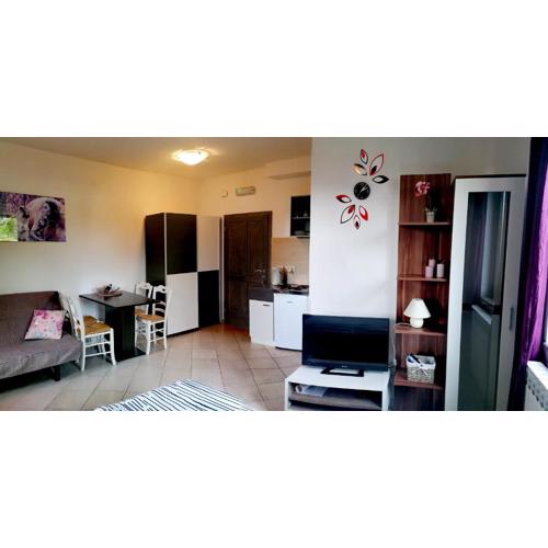 Studio TRIPLE M Rovinj