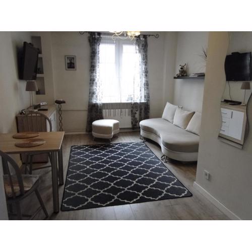 Studio w centrum Starego Miasta