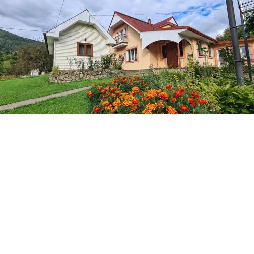 Комфортне Studio в Криворівні