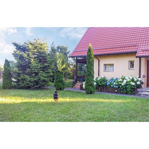 Stunning Home In Golubie With Wifi