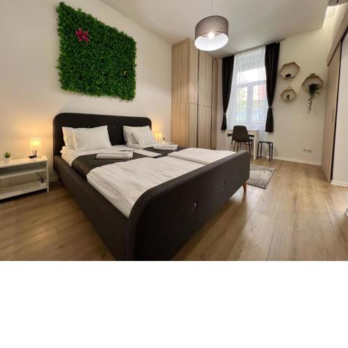Stunning Studio Apartment
