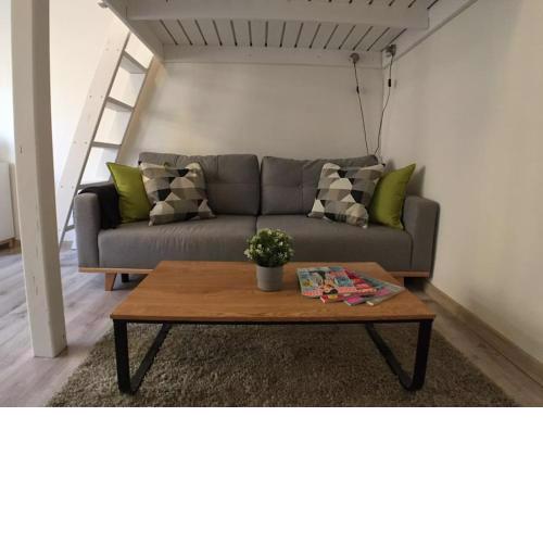 STYLISH FLAT IN PRAGUE - Vinohrady