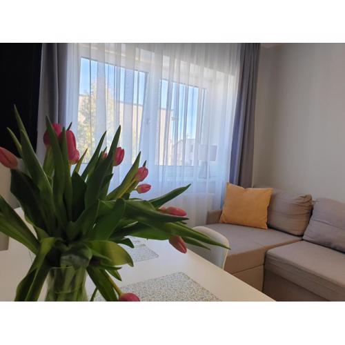 Suite Sandra Apartament