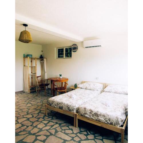 Suite Tangerine Studio