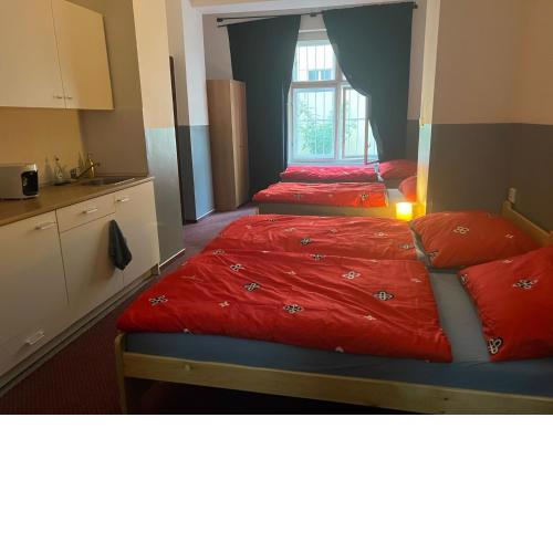 Summer HOSTEL