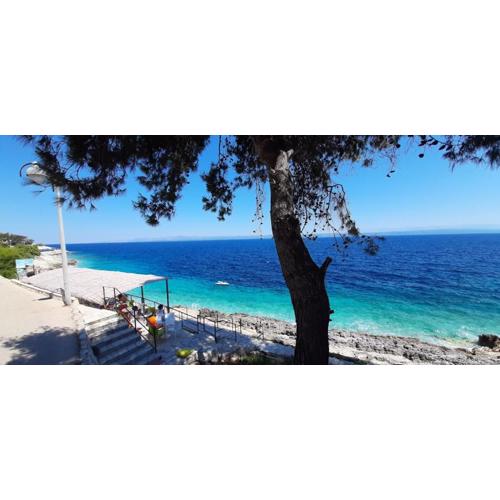 Summer House Bougainvillea by Dubrovnik Colors