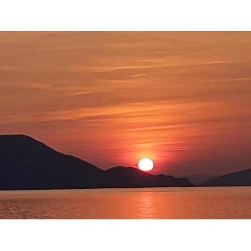 Sunčica